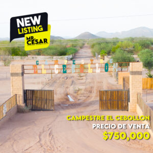 Terreno campestre en venta en Campestre El Cebollón